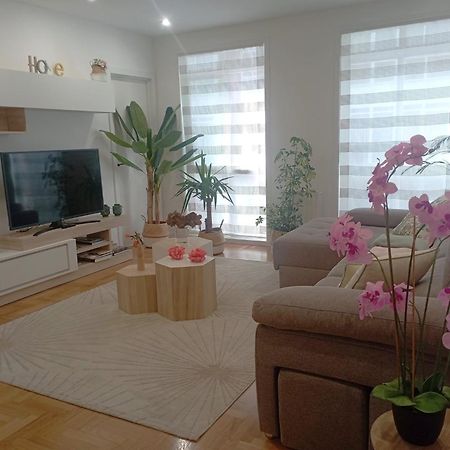 Super Apartamento Santiago Сантьяго-де-Компостела Экстерьер фото